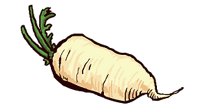 rettich_website.png rettich_website.png