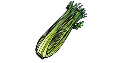 bleekselderij.png bleekselderij.png