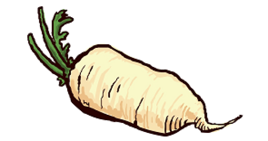 rettich_website.png rettich_website.png