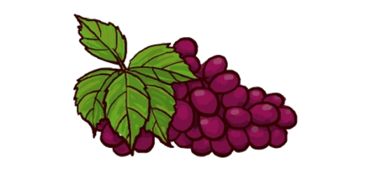 druiven.png