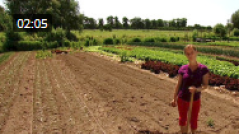 moestuin.png moestuin.png